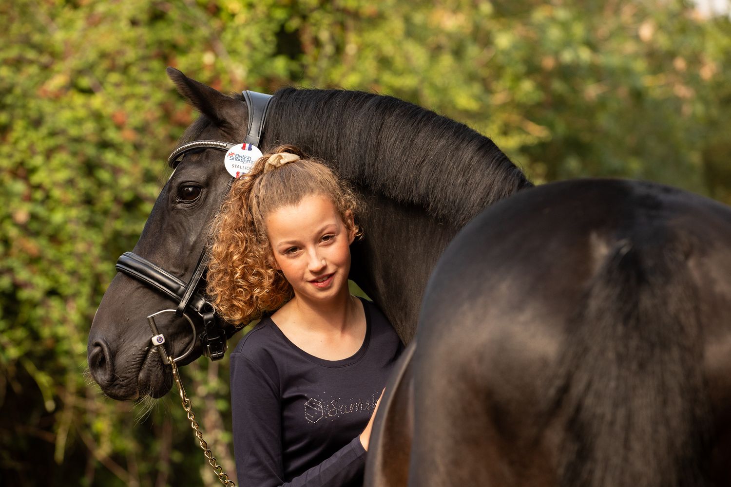 A beautiful black horse with a show bridle poses for a portrait in a garden setting.