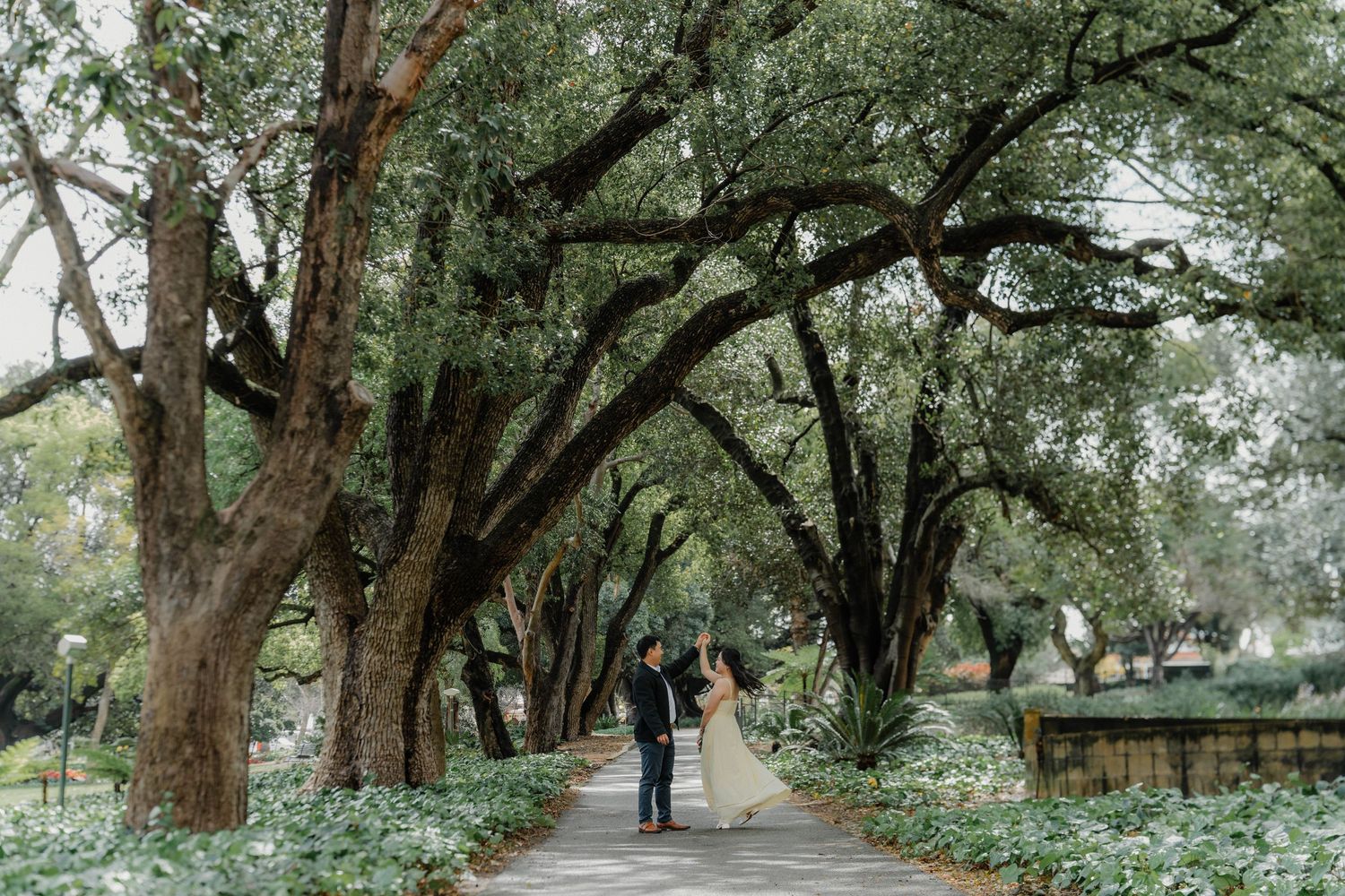 Two people walking along a romantic tree-lined pathway in a park with overhanging branches creating a natural canopy.