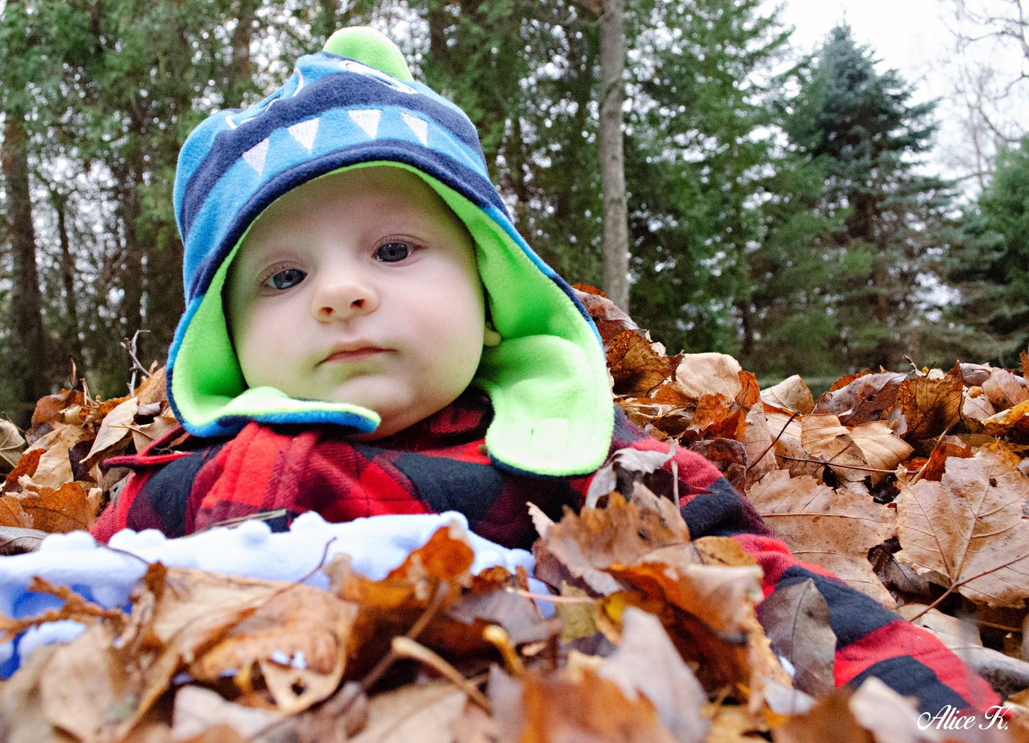 Baby in colorful winter hat nestled in pile of autumn leaves with snow-dusted ground and evergreen trees behind.