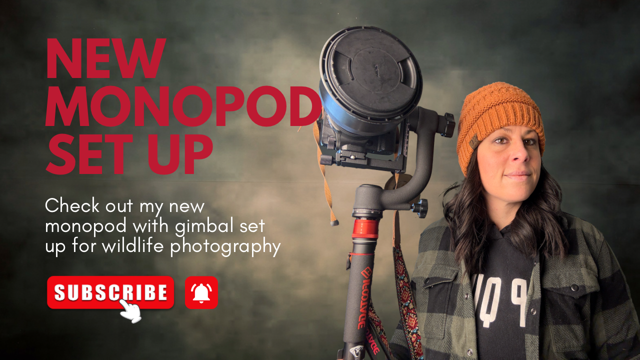 A camera setup preview thumbnail showing photography gear with a monopod and gimbal against a dark background.