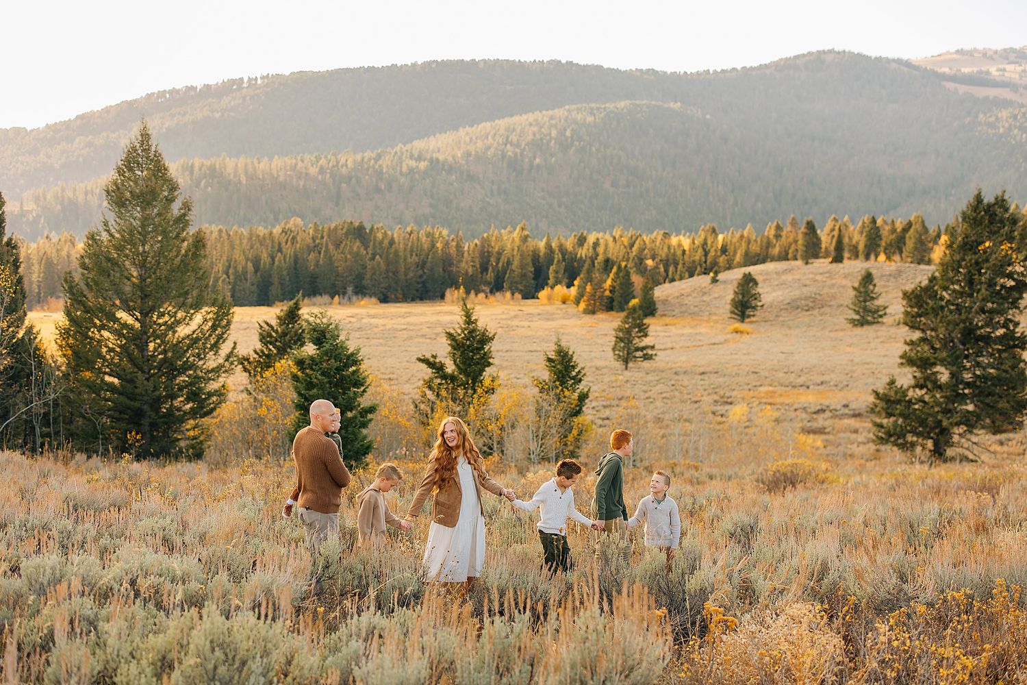 Panoramic view of a golden autumn landscape with rolling hills, evergreen trees, and tall grass in the late afternoon light.