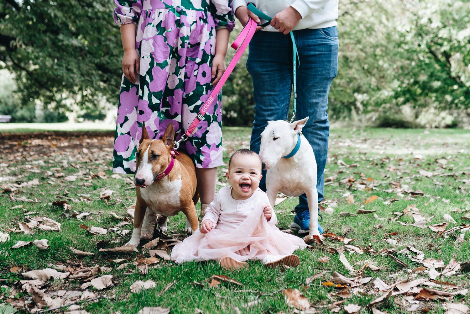 A happy baby sits on autumn leaves between a brown dog and white dog taken during a Melbourne family photo session in the park by Pei A