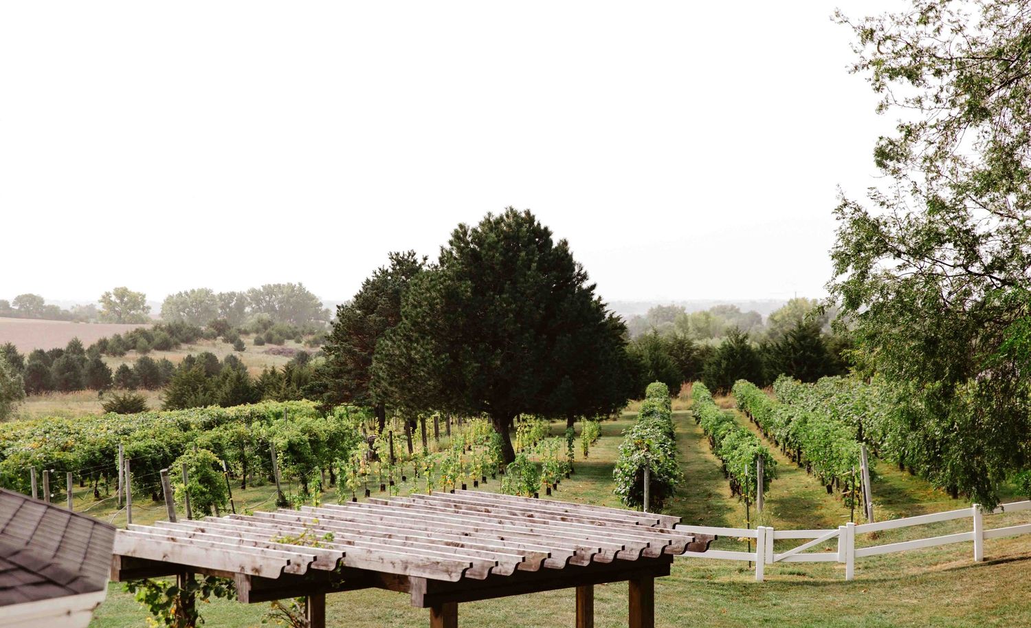 Panoramic view of a vineyard at Country Pines with trees, fields, and stone walls stretching across rolling hills.