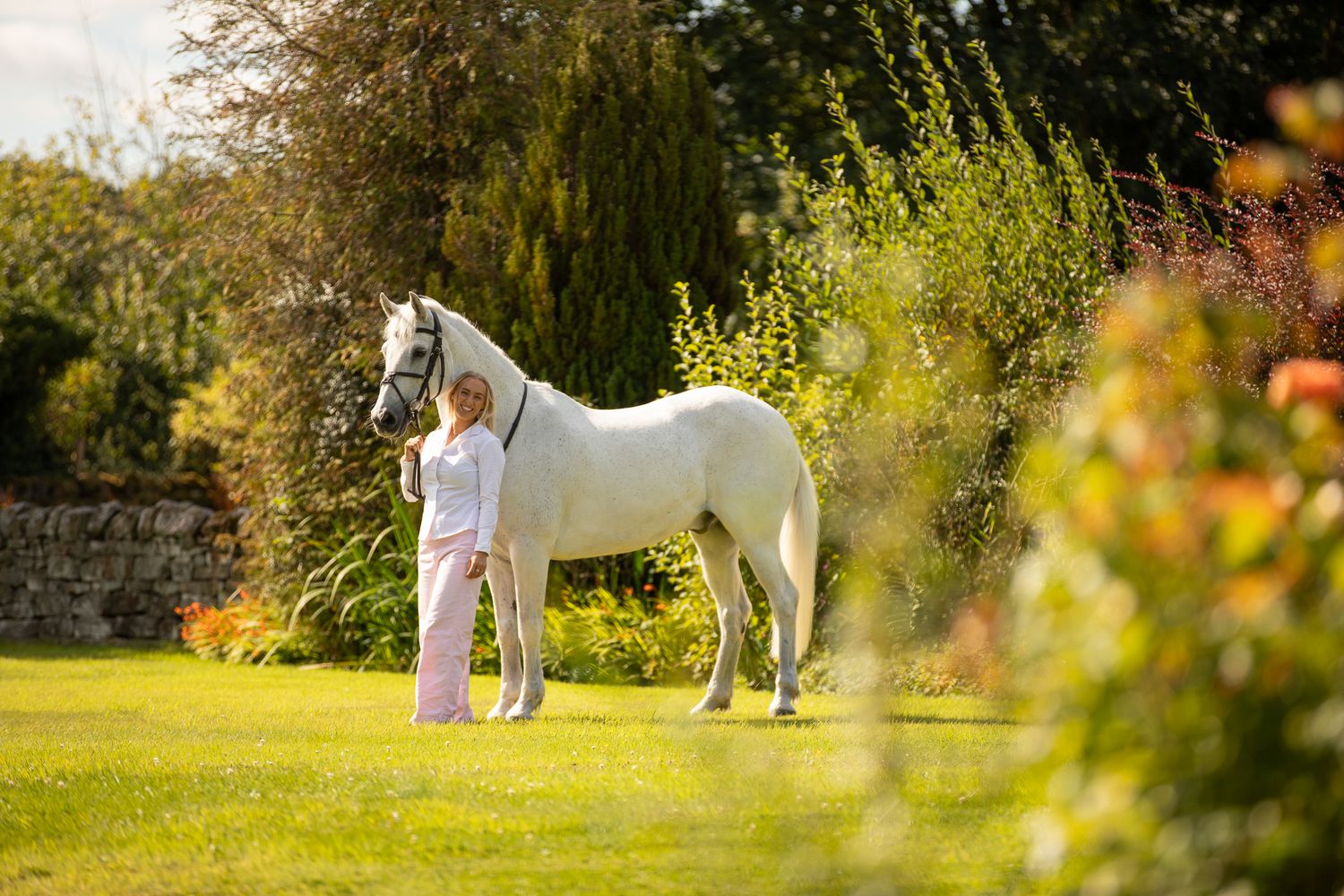 A person leads a palomino horse along a sunlit forest trail surrounded by tall evergreen trees.
