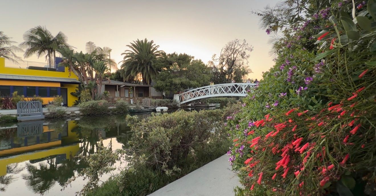 Scenic Venice Canal with a white footbridge, lush tropical plants, colorful flowers, and reflections at golden hour sunset.