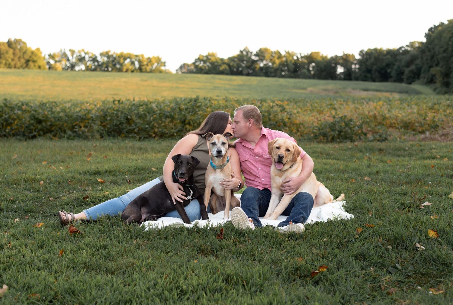Family sitting in grassy field with two dogs during golden hour photography session.
