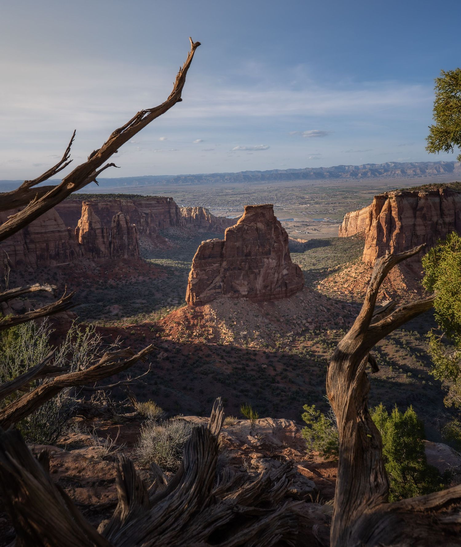 A panoramic view of Colorado National Monument's red rock canyons and towering mesas under a bright blue sky.
