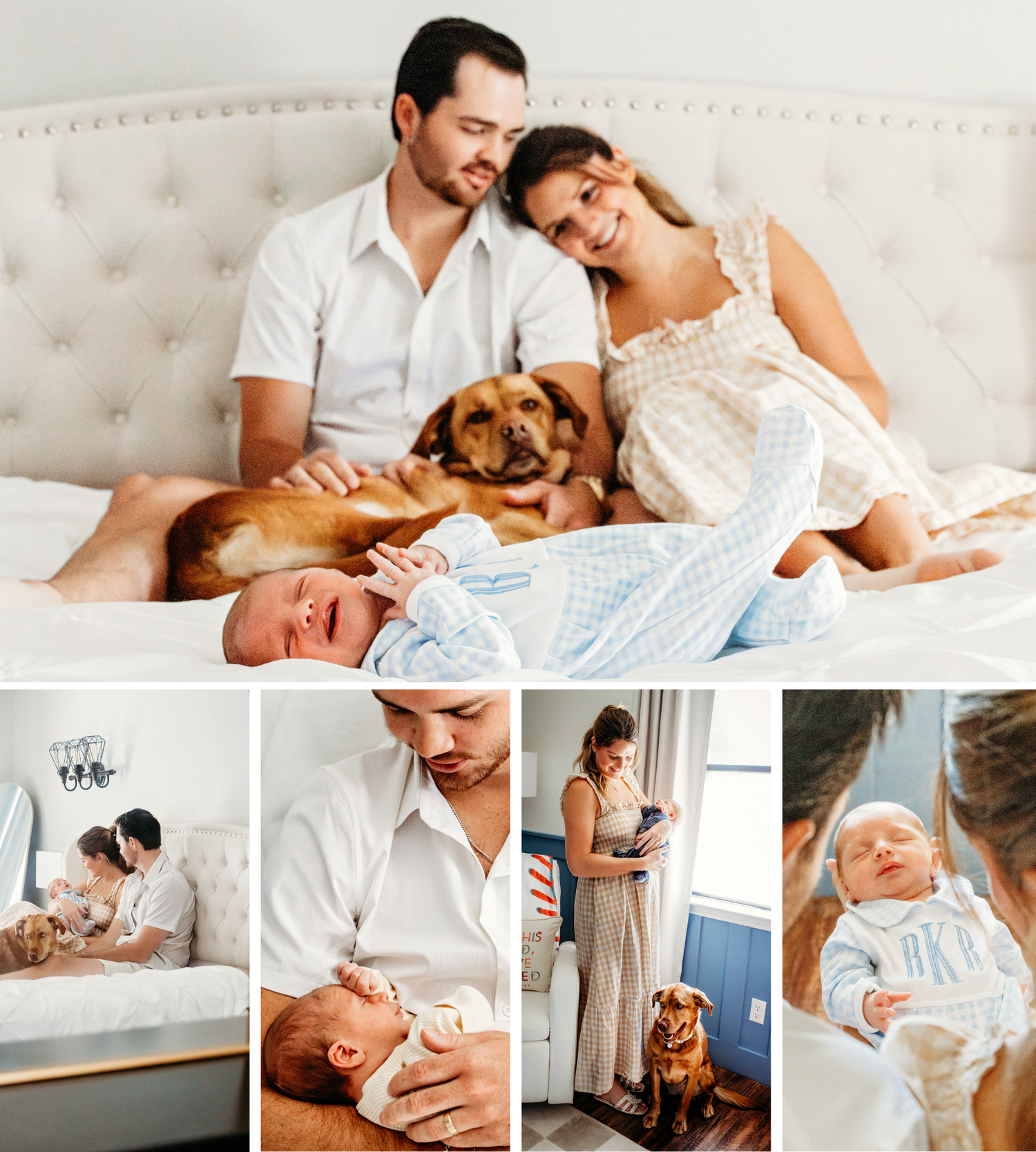 A collage of images of a couple with their new baby and dog