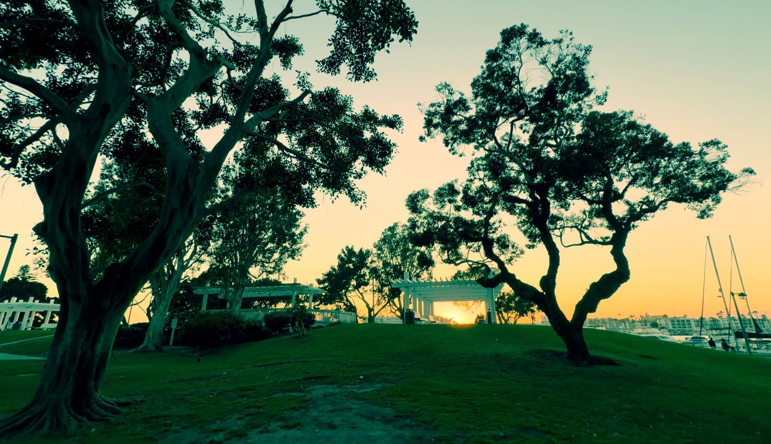 Panoramic view of silhouetted trees against a turquoise sunset sky in a peaceful rural landscape.