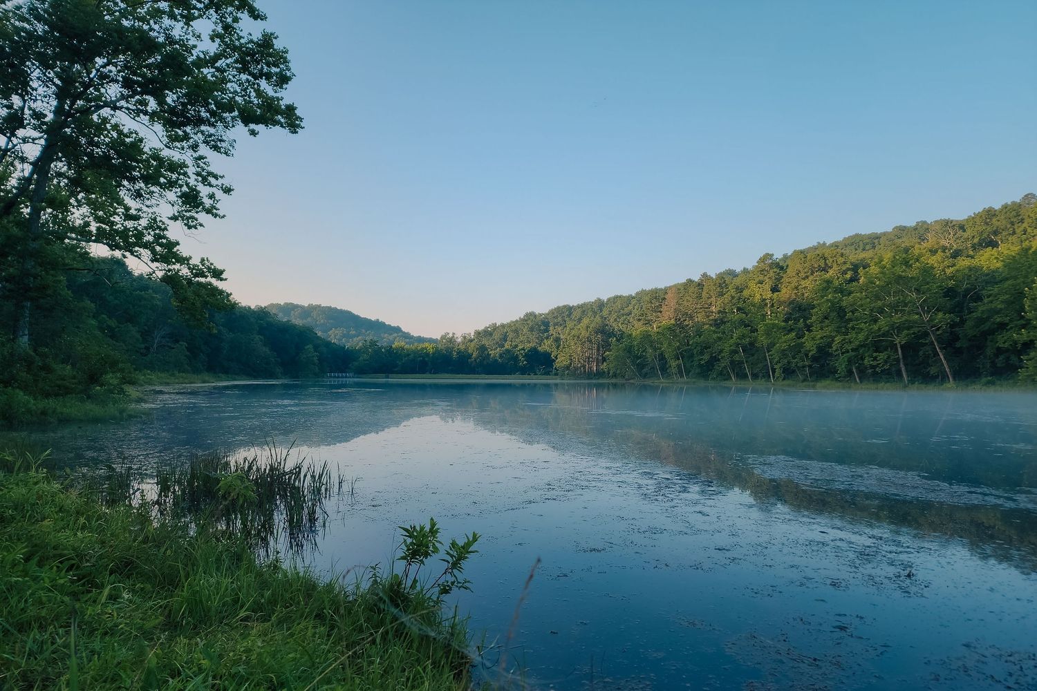 lake mccormack fog
