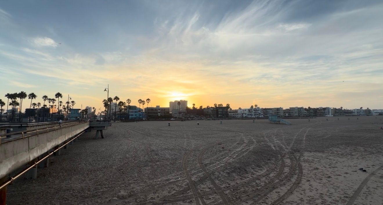 Sunset over Venice Beach with sandy shore, palm trees, and colorful sky reflecting golden light on the horizon.