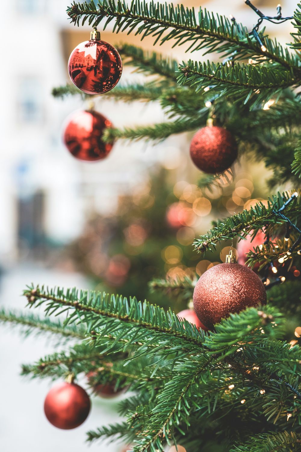 Cottage renting christmas