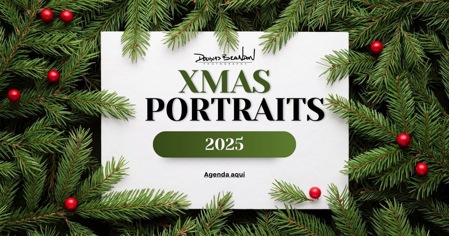 Christmas themed banner with pine branches and red ornaments advertising portraits.