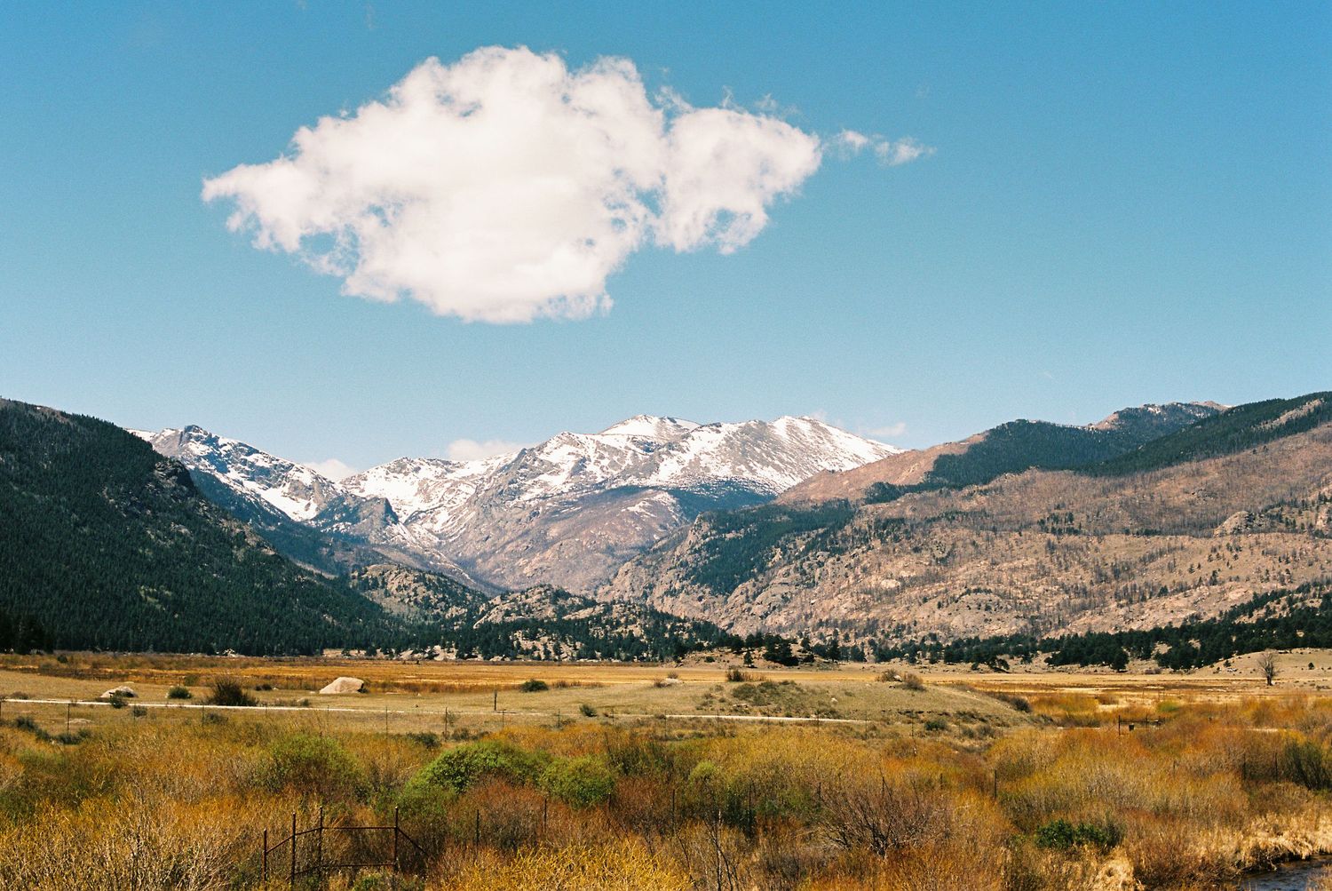 Snow-capped Rocky Mountains rise above a golden meadow valley under a bright blue sky with a single white cloud.