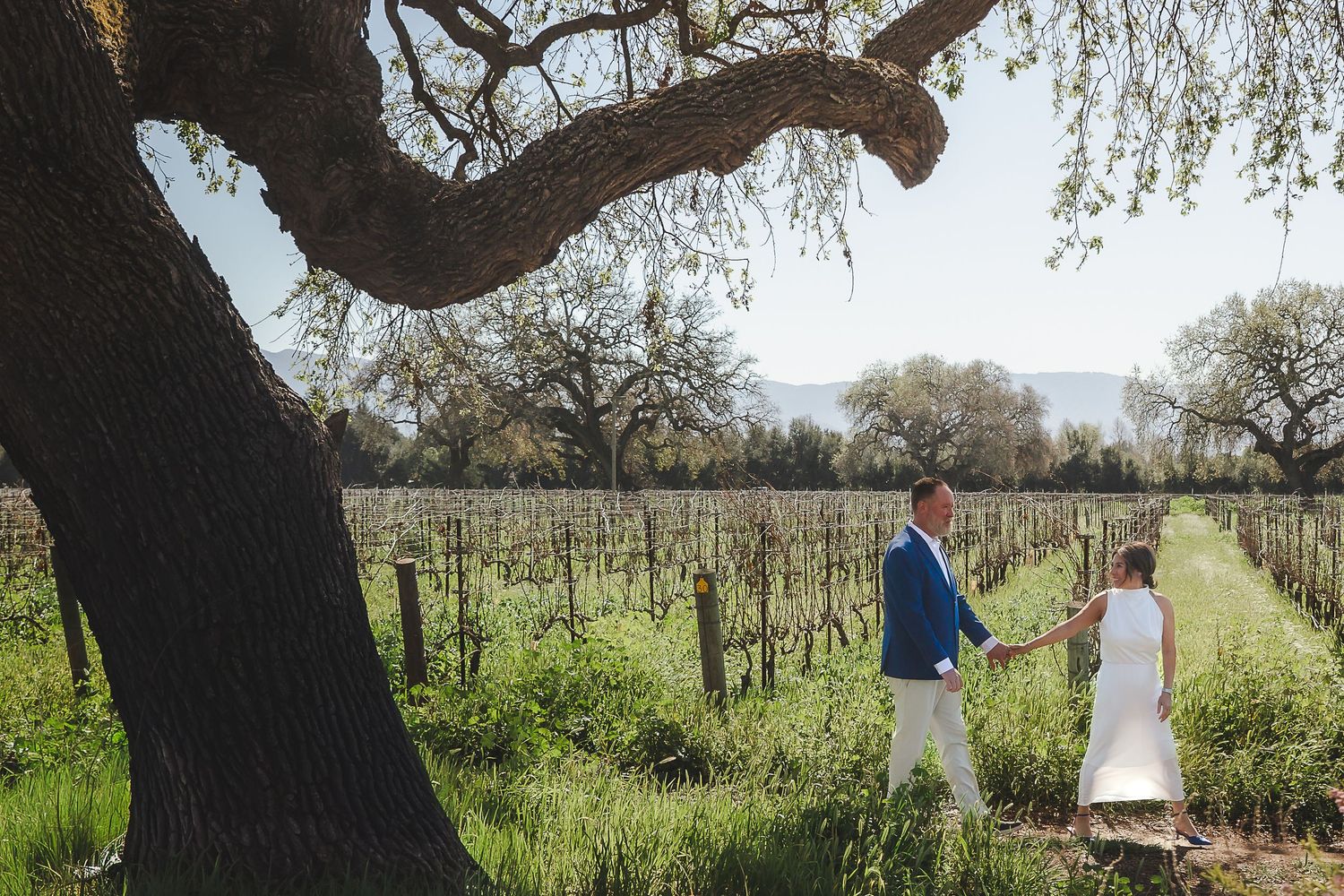 Elopement photographer santa barbara county, santa ynez valley. wedding photographer santa ynez valley