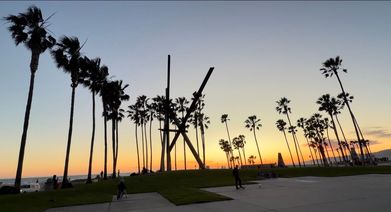 Tall palm trees silhouette against vibrant sunset sky along coastal pathway in Southern California.