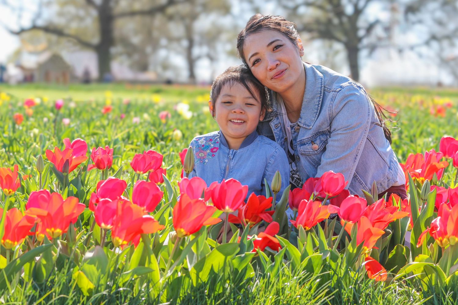 Vibrant red tulip field with people enjoying a spring day among the blooming flowers.