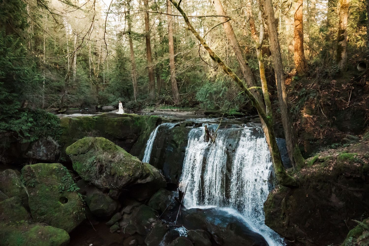 senior girl poses at whatcom falls state park, bellingham, backed by golden light
