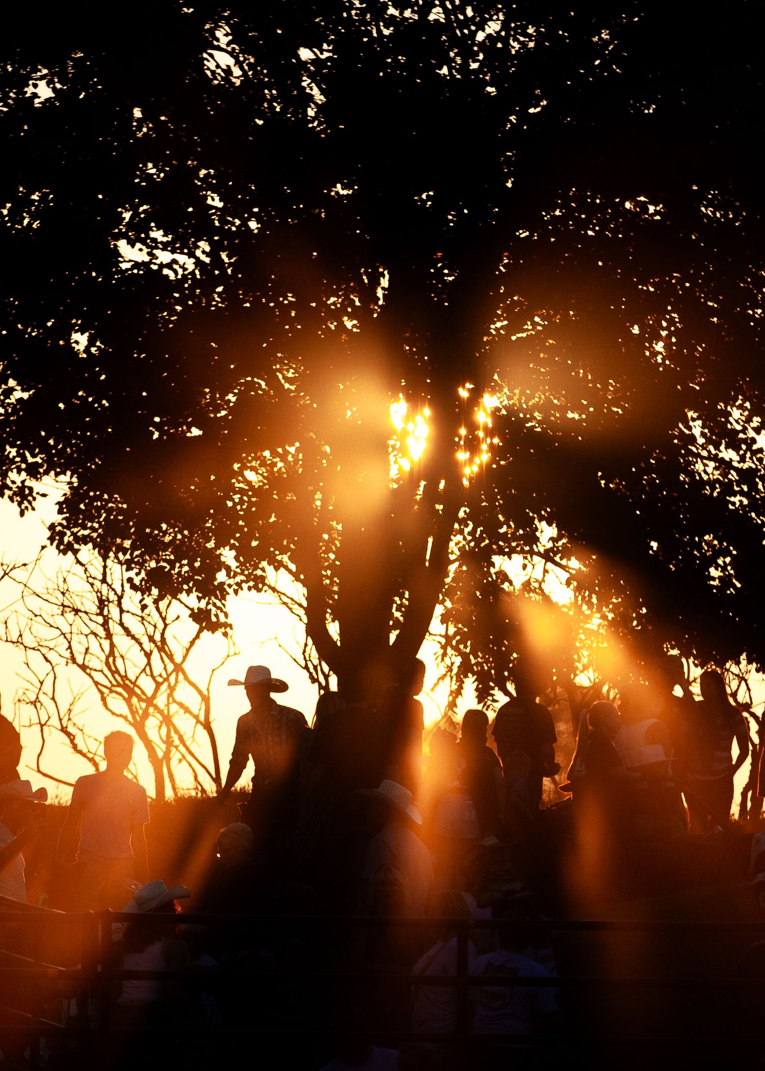 Silhouetted figures against a dramatic sunset with rays of light streaming through trees.