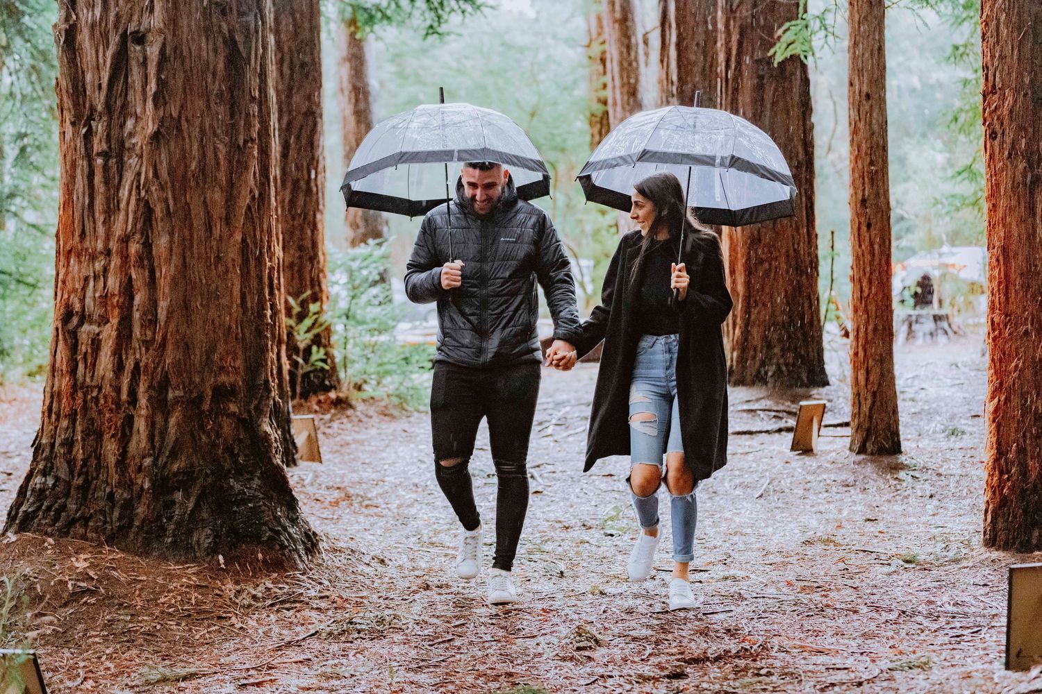 People holding umbrellas walk along a path through towering redwood trees on a rainy day.