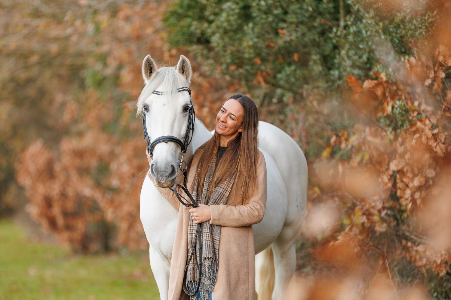A person leads a palomino horse along a sunlit forest trail surrounded by tall evergreen trees.