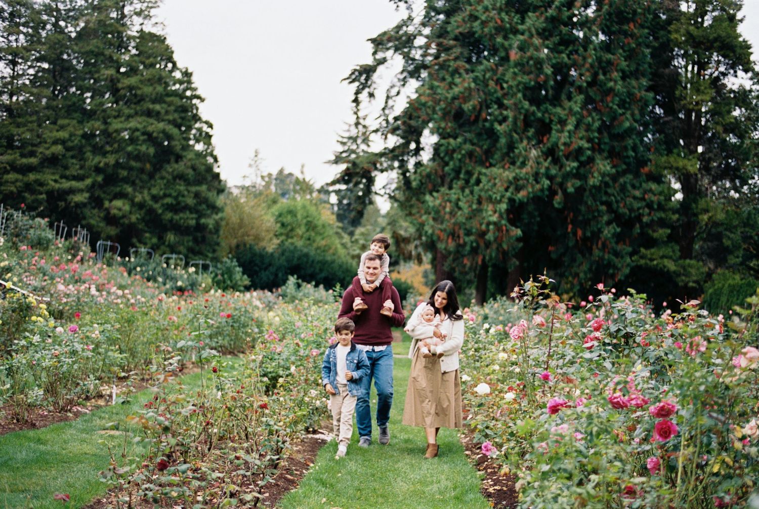 Visitors enjoy a vibrant dahlia garden with tall evergreen trees in the background on a sunny autumn day.