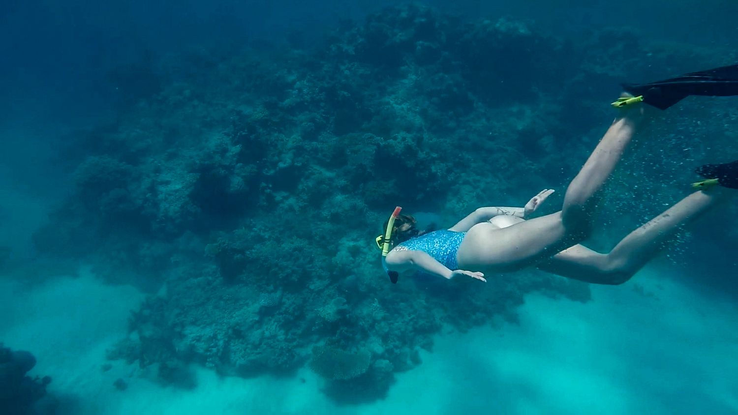 Underwater photographer captures vibrant coral reef ecosystem with tropical fish swimming in crystal clear turquoise waters.