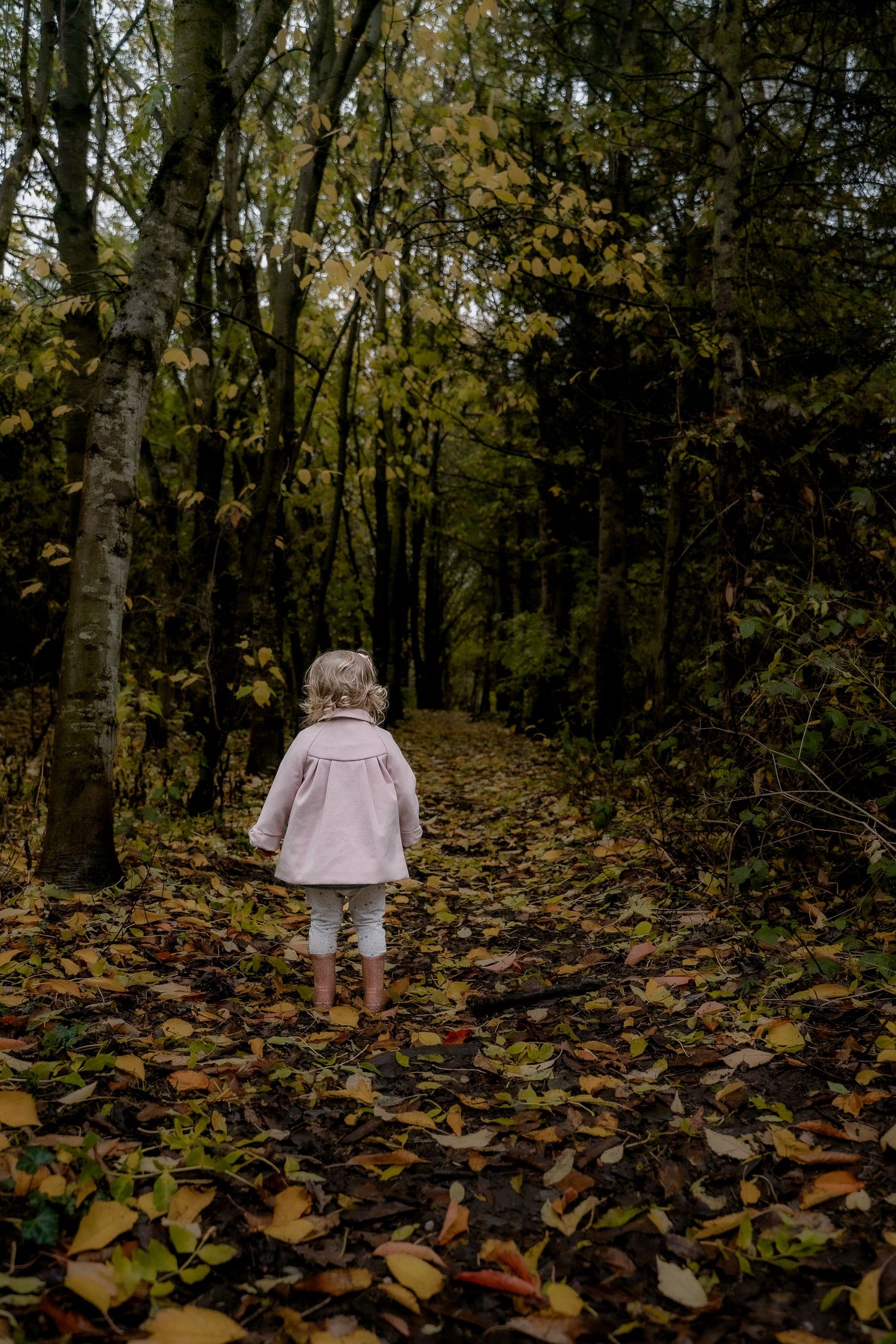 A small GIRL n pink clothing walks through a forest path covered in fallen autumn leaves.