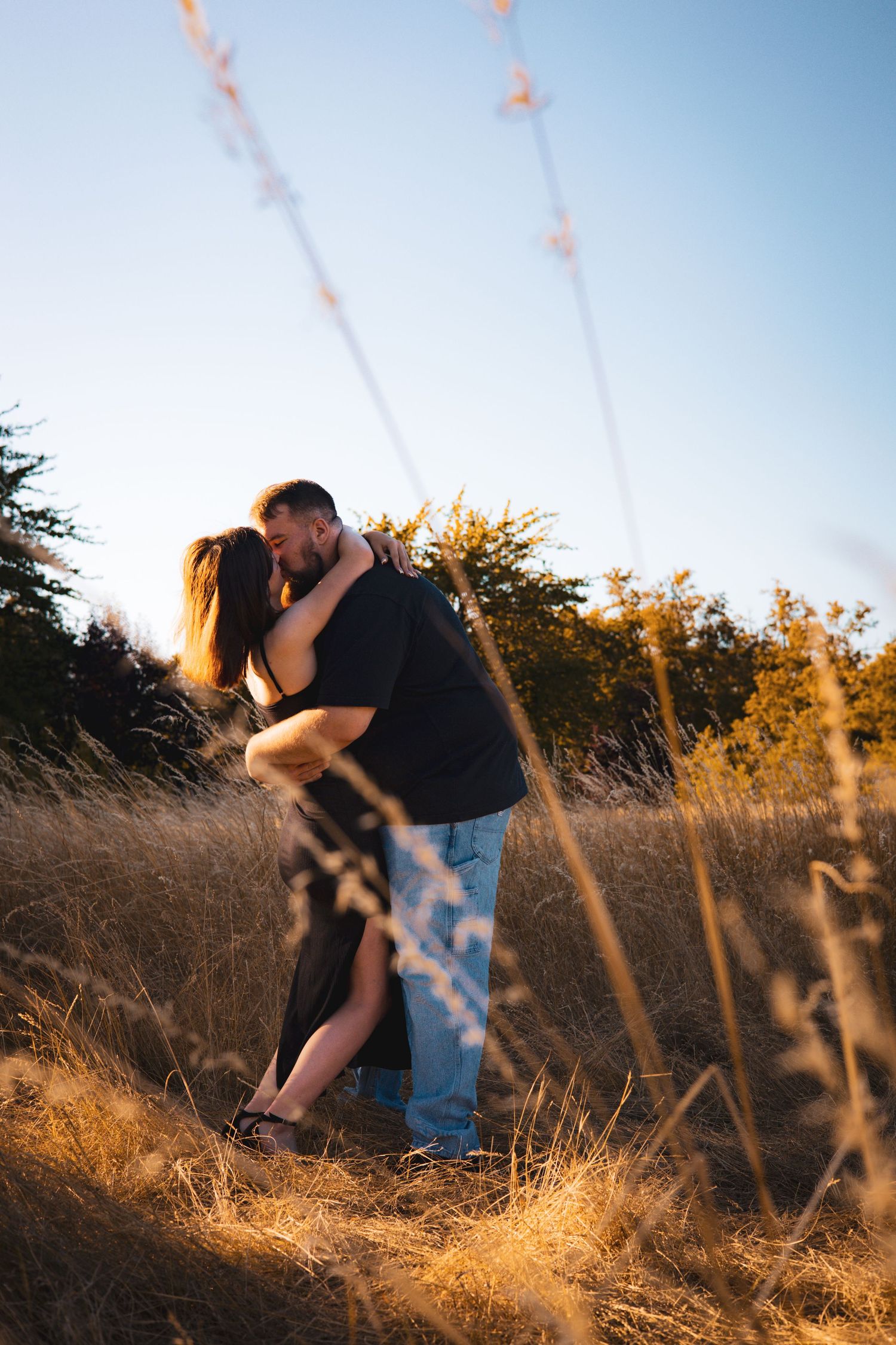 A romantic sunset moment in a golden field with tall grass swaying in the breeze.