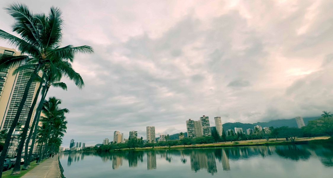 Panoramic skyline view of coastal cityscape with towering palm trees reflected in calm waters at sunset.