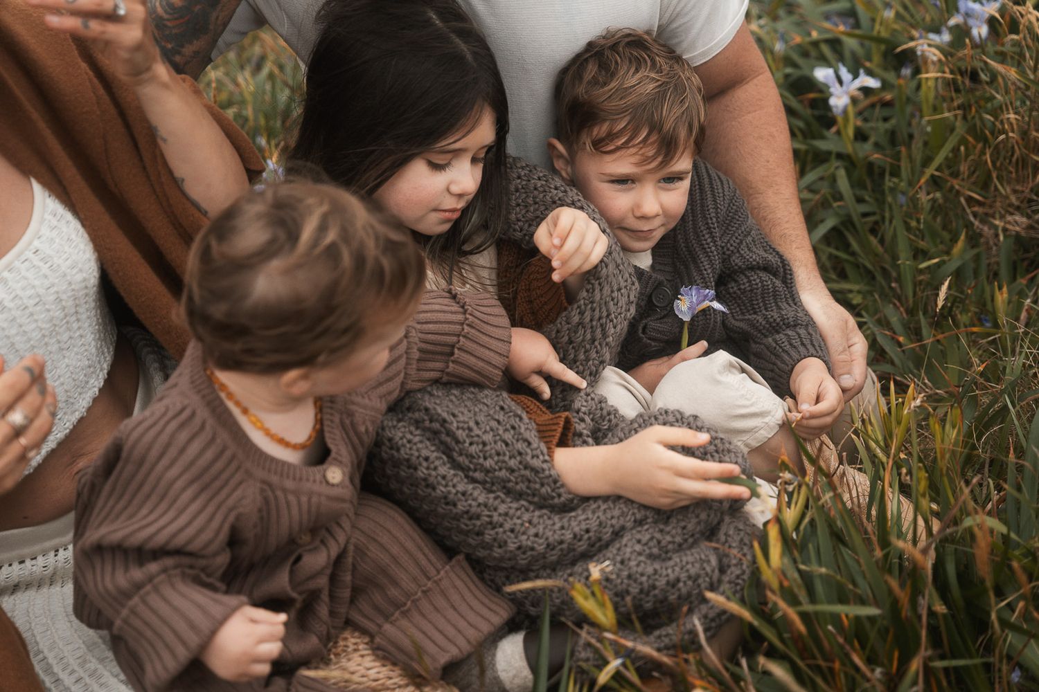 A cozy group wearing brown knit sweaters sits together outdoors among tall grass and autumn foliage during fall mini session