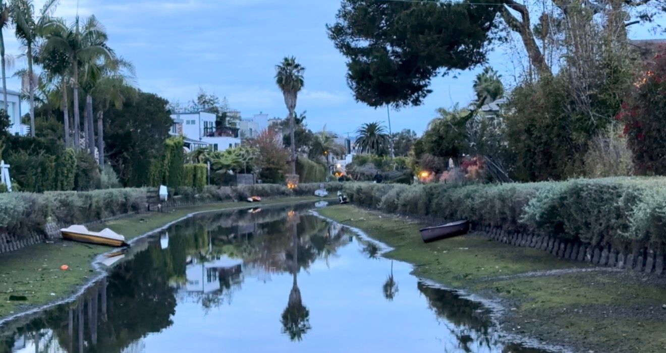 A scenic waterway lined with palm trees and lush vegetation reflects on calm waters under blue skies.