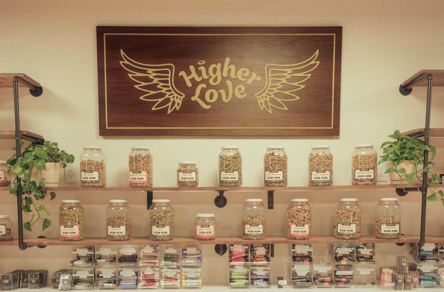 Higher Love Michigan Cannabis Photography
