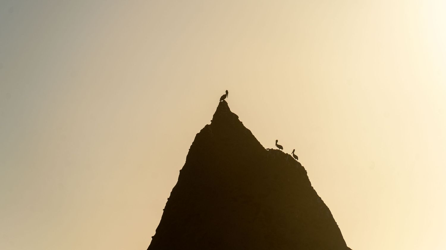 Silhouette of a mountain peak with tiny figures perched at the summit against a bright sky.