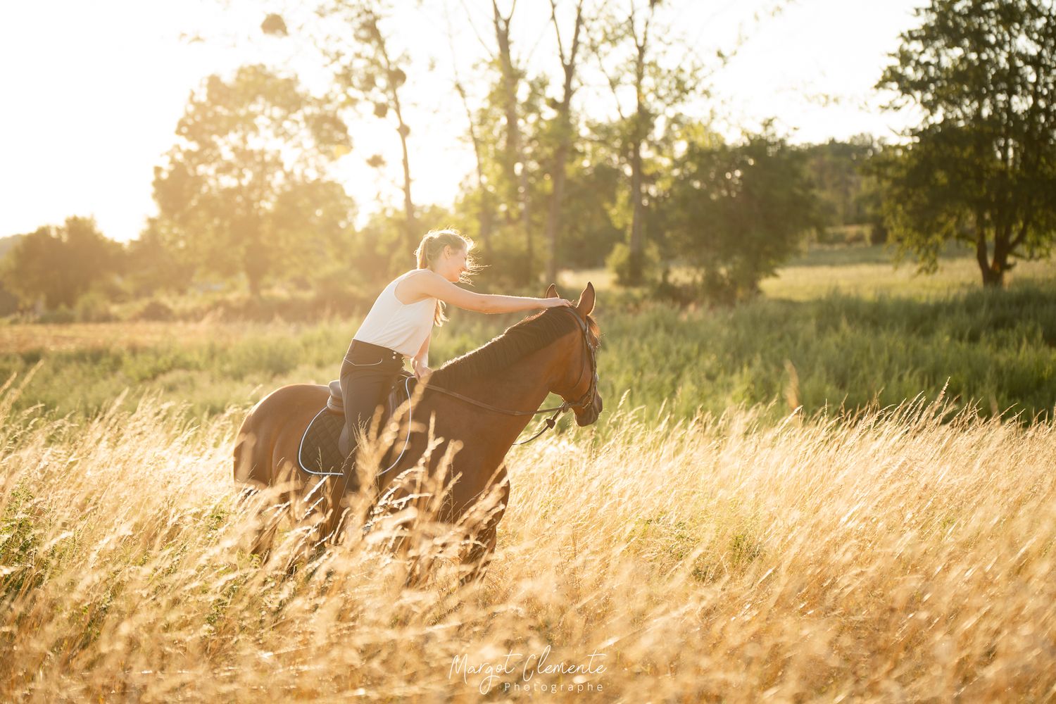 A rider leans forward on a brown horse galloping through golden tall grass at sunset.