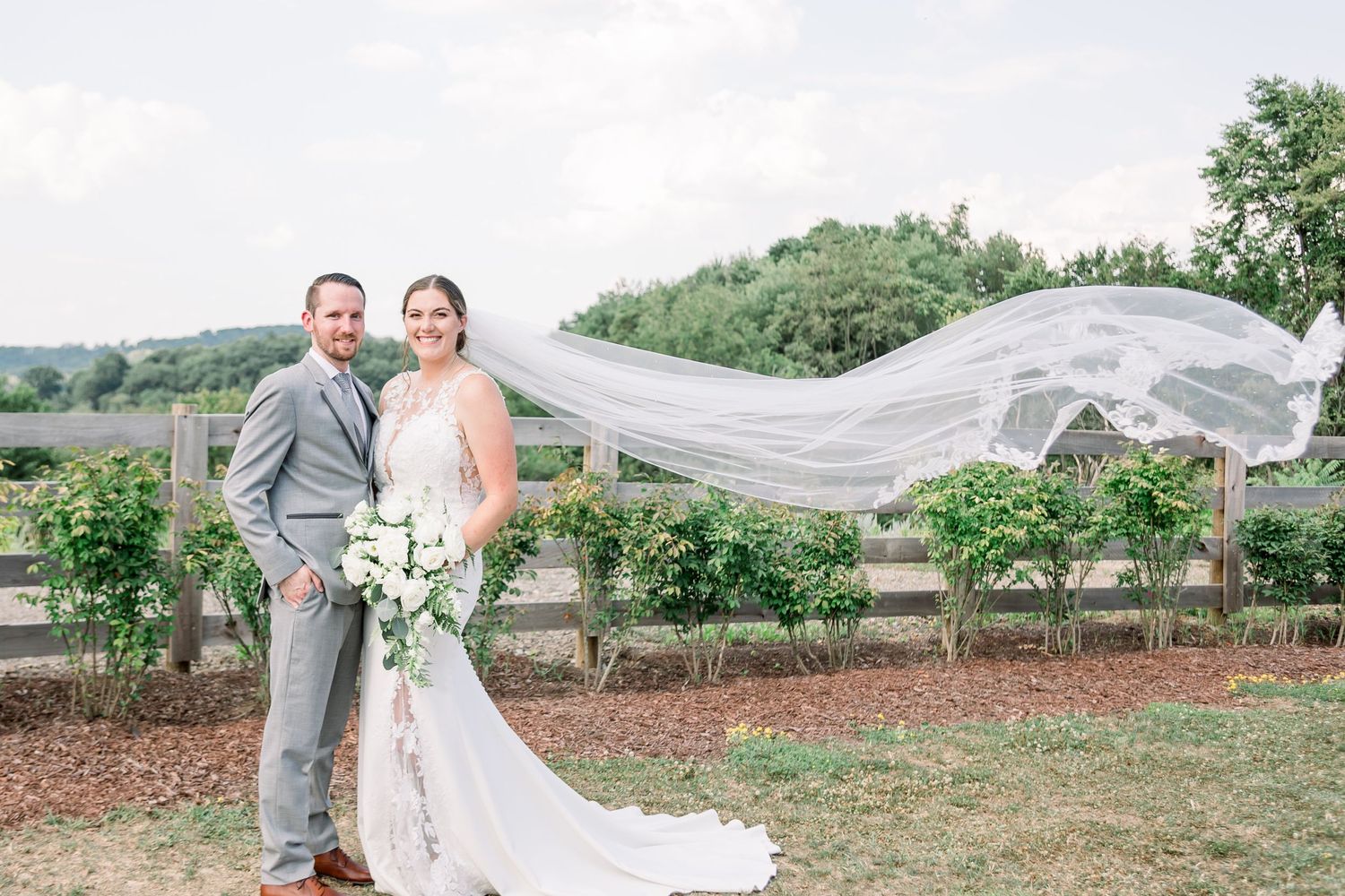 Wedding couple poses in vineyard as veil flows dramatically in the wind.