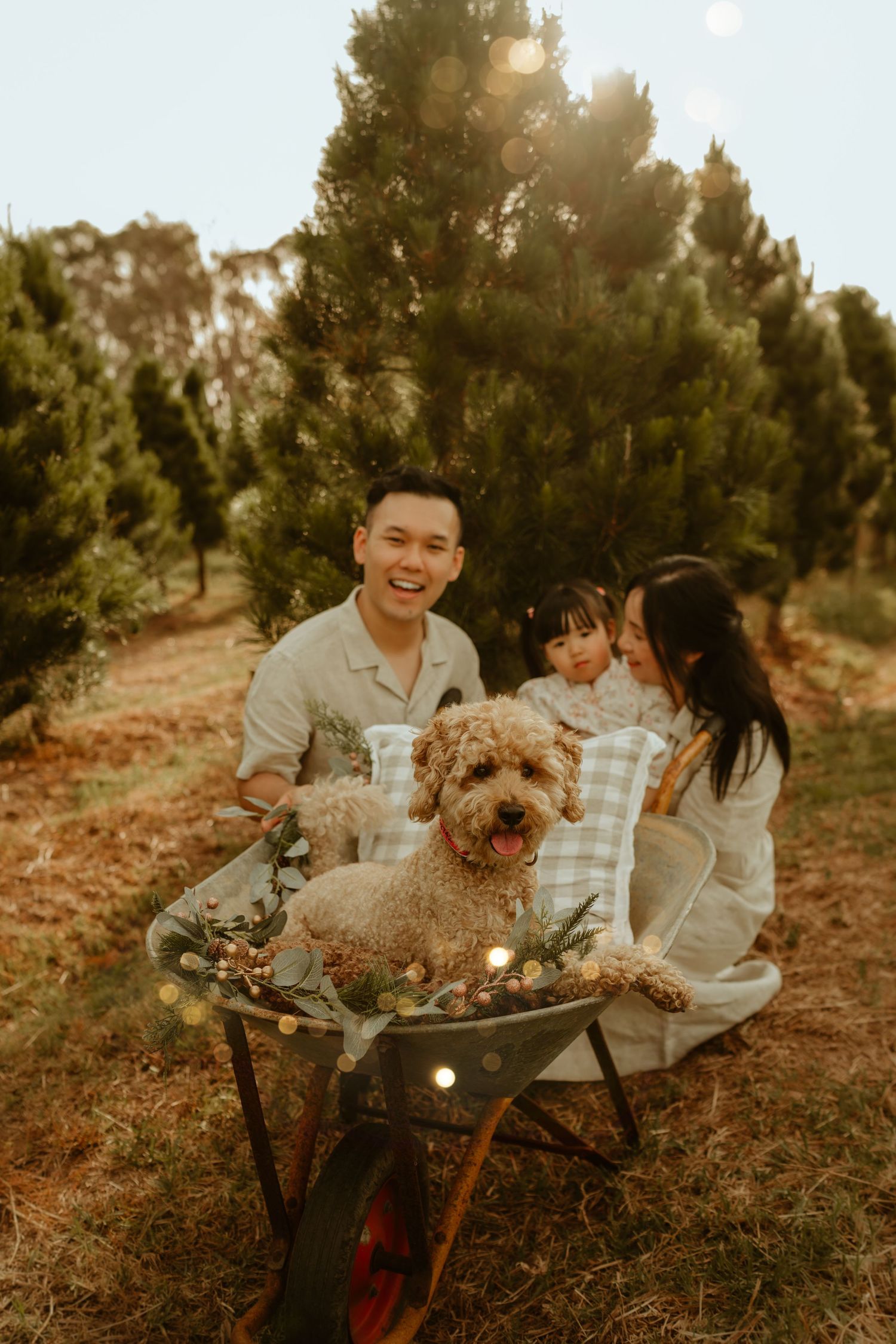 A warm-toned family portrait set outdoors among pine trees with a cozy vintage aesthetic.