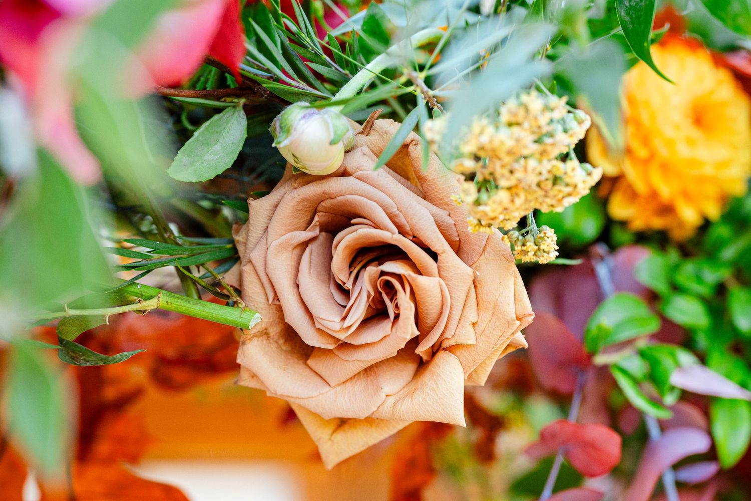 A soft peach-colored rose in full bloom surrounded by vibrant mixed flowers and greenery in a floral arrangement.