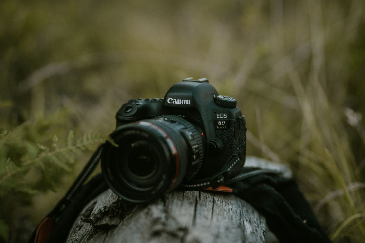 Canon EOS 6D DSLR camera with lens resting on a mossy log in a natural outdoor forest setting.
