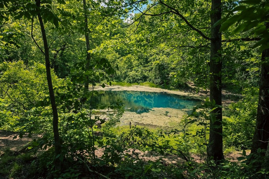 boze spring