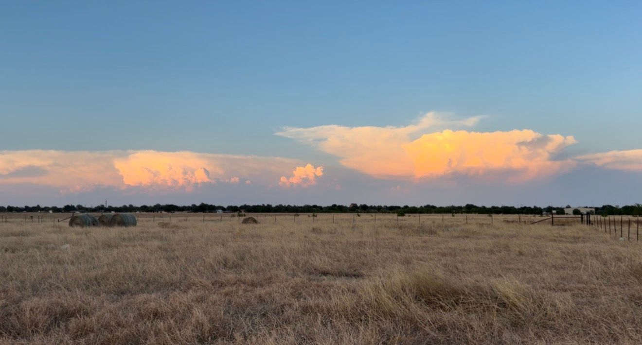 Golden prairie landscape at sunset with dramatic pink cumulus clouds on the horizon under a blue sky.