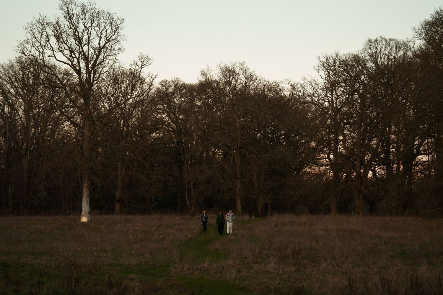 Two figures stand in a vast open field at dusk, surrounded by bare winter trees in dim evening light.