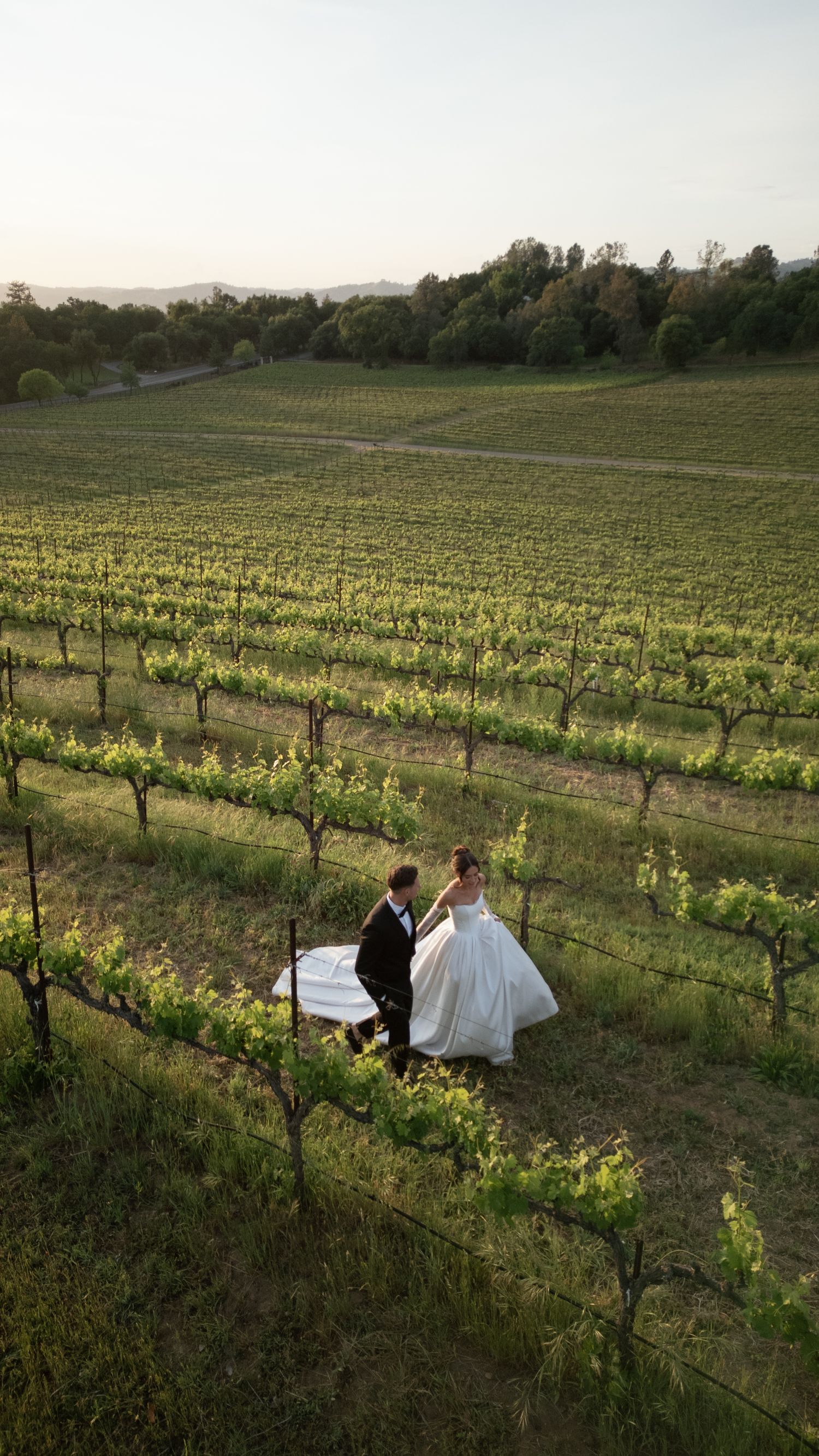 A couple poses in a scenic vineyard at sunset while surrounded by rows of grapevines in a rustic countryside setting.