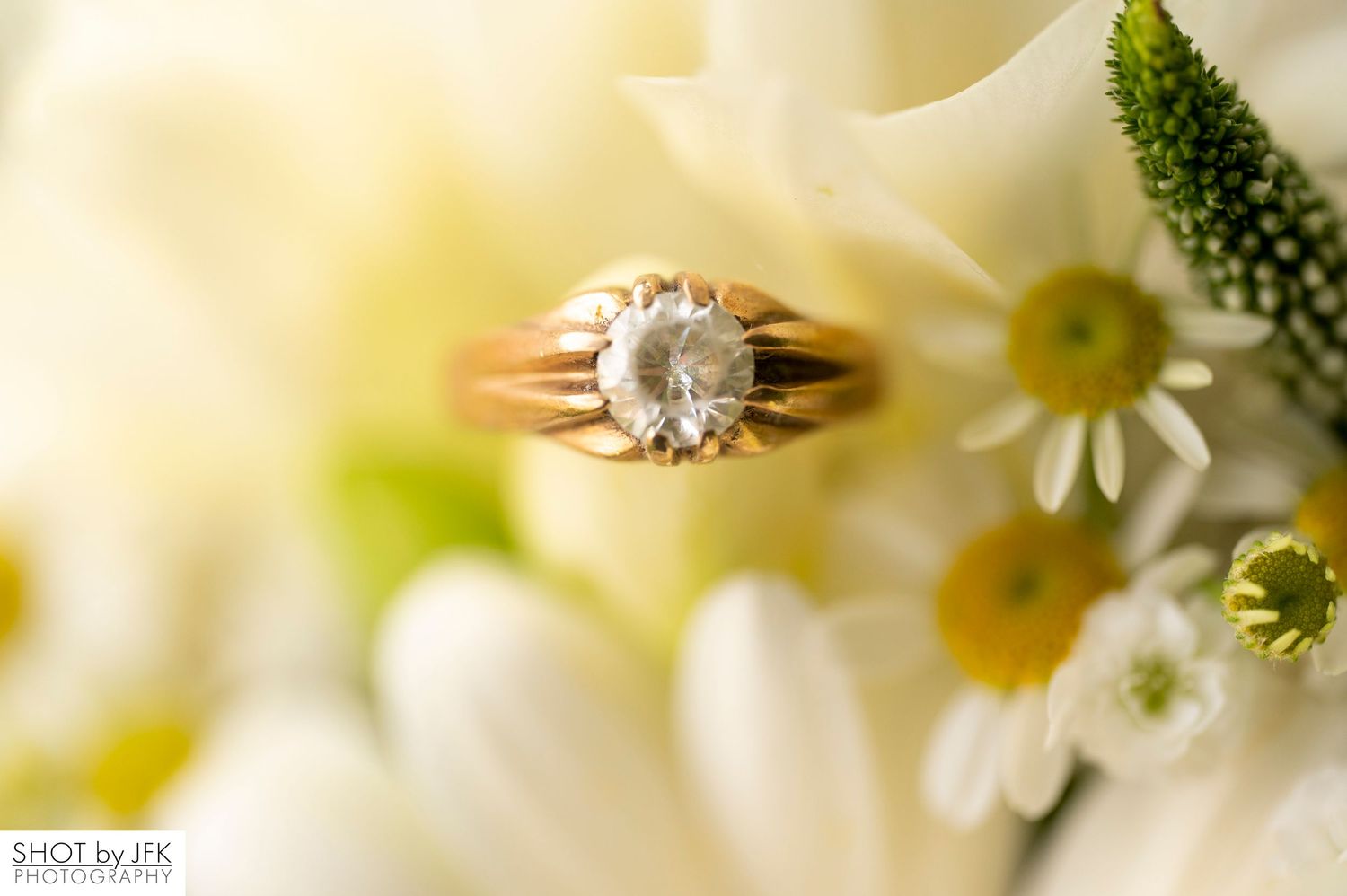 Close-up macro photograph of delicate white daisies with yellow centers in soft natural lighting.