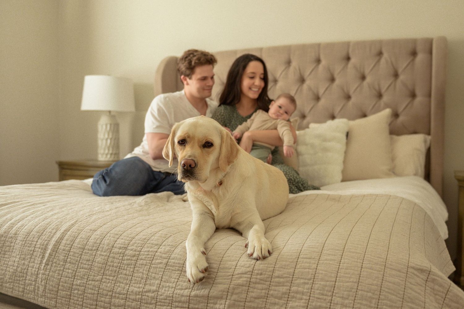 A happy family relaxing on a bed with their friendly golden retriever dog.