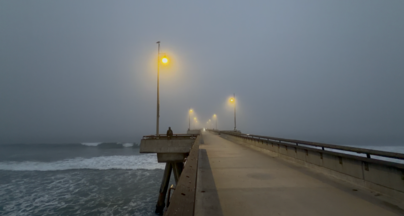 Palm trees sway in strong winds against a moody gray sky during a tropical storm.