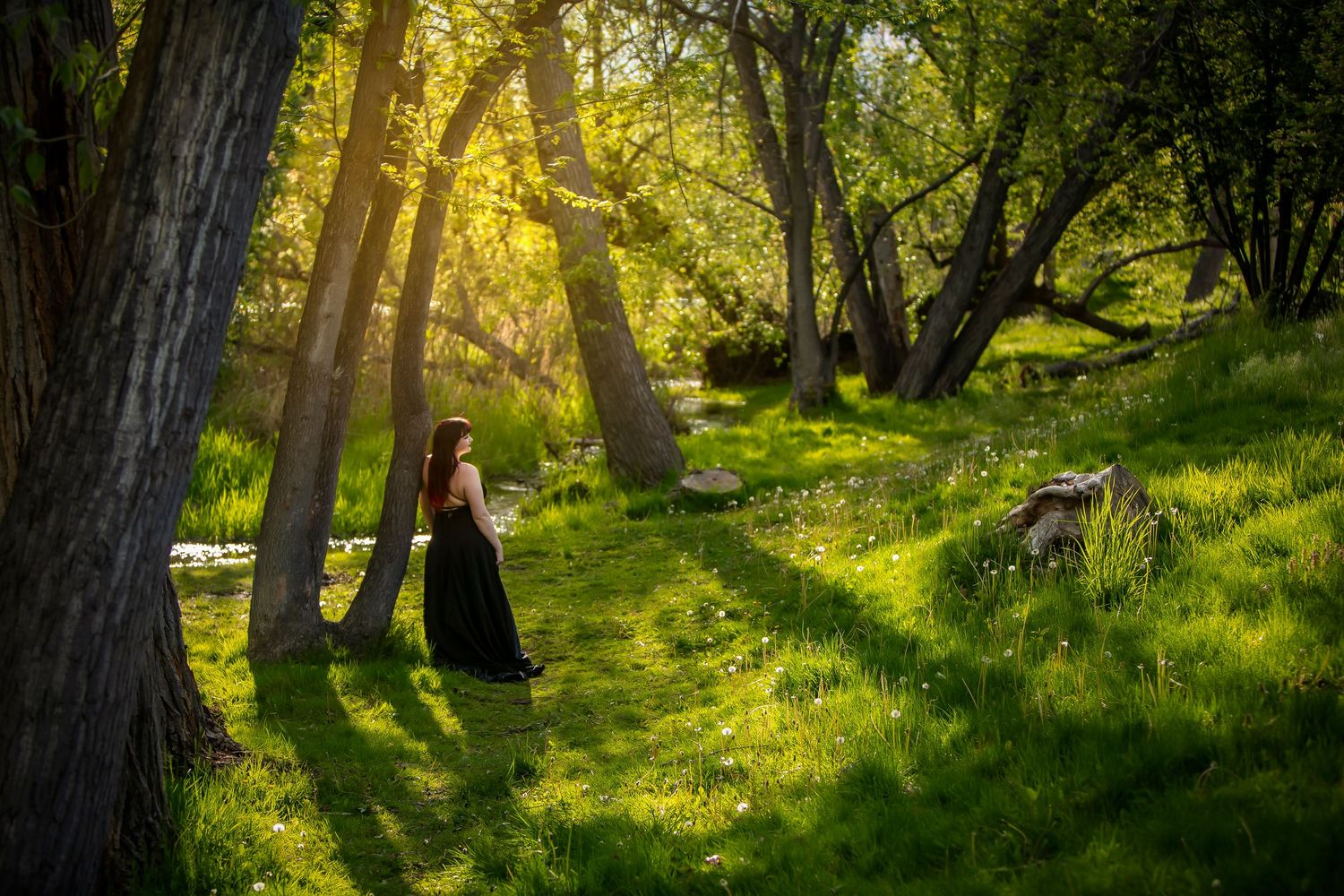 senior photos near Boise River. Girl in meadow wearing black gown with sun shining through foliage.