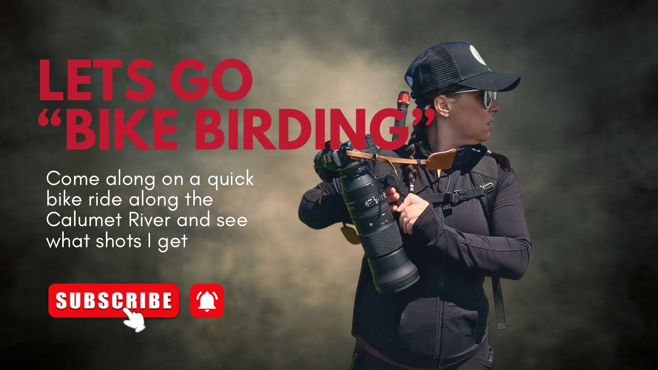Cyclist holding a professional camera for bike birding along the Calumet River, YouTube thumbnail with subscribe button.