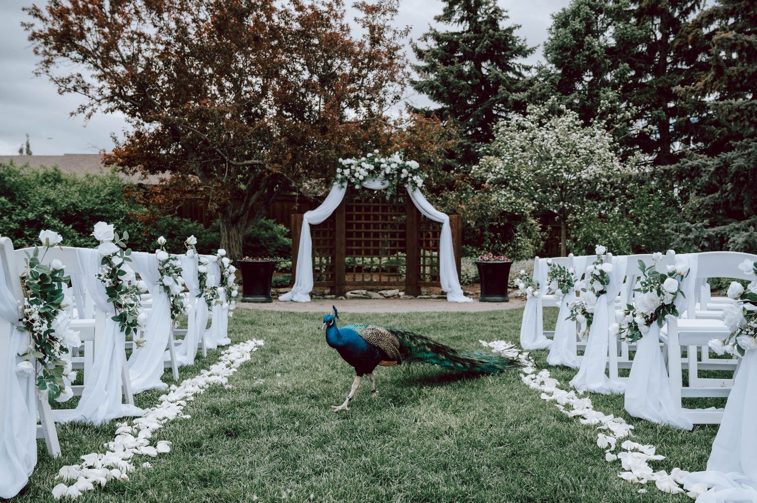 Decor at an Event.