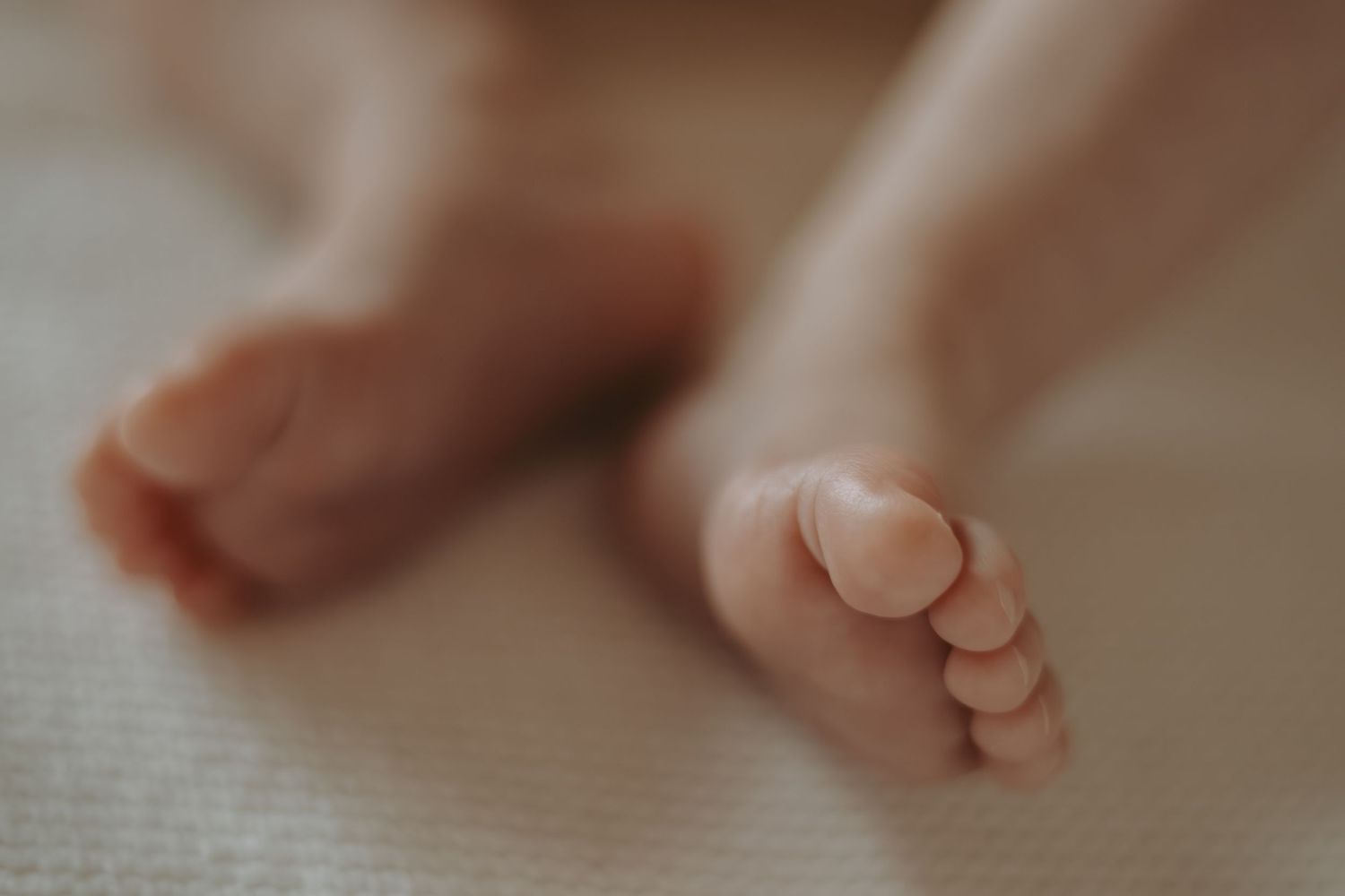 Close-up detail shots of tiny feet resting on a textured surface.